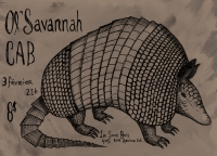 armadillo-cab_web
